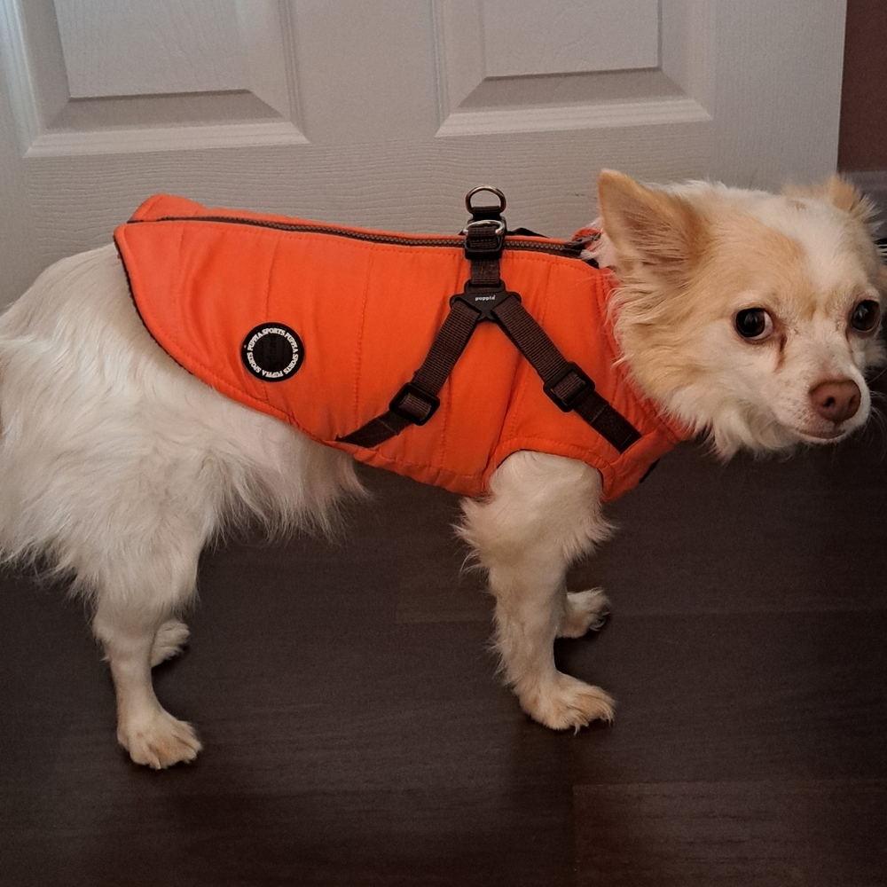 Puppia Mountaineer Winter Dog Coat With Harness, Orange, Down